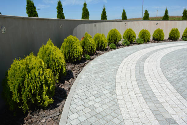 Driveway Repair Near Me in Lone Oak, TN